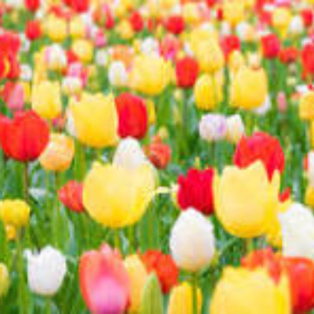 Meet your Posher, Kai M